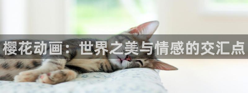 一点动漫免费观看高清：樱花动画：世界之美与情感的交汇点
